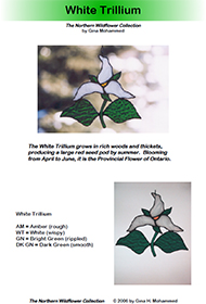 White Trillium Sample - Pg 1